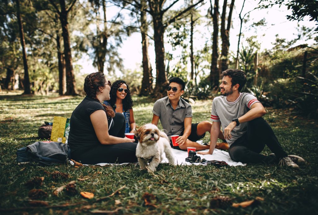 Adults picnic with dog