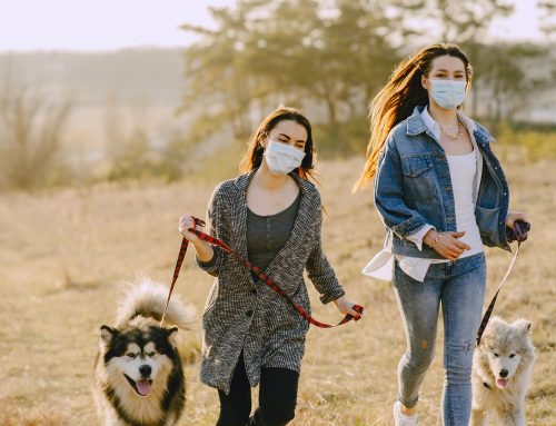 What if my pet needs vet care during COVID-19?
